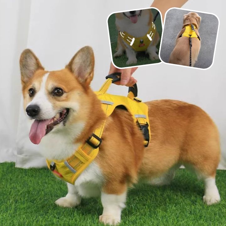 Harnais™| Harnais anti-traction