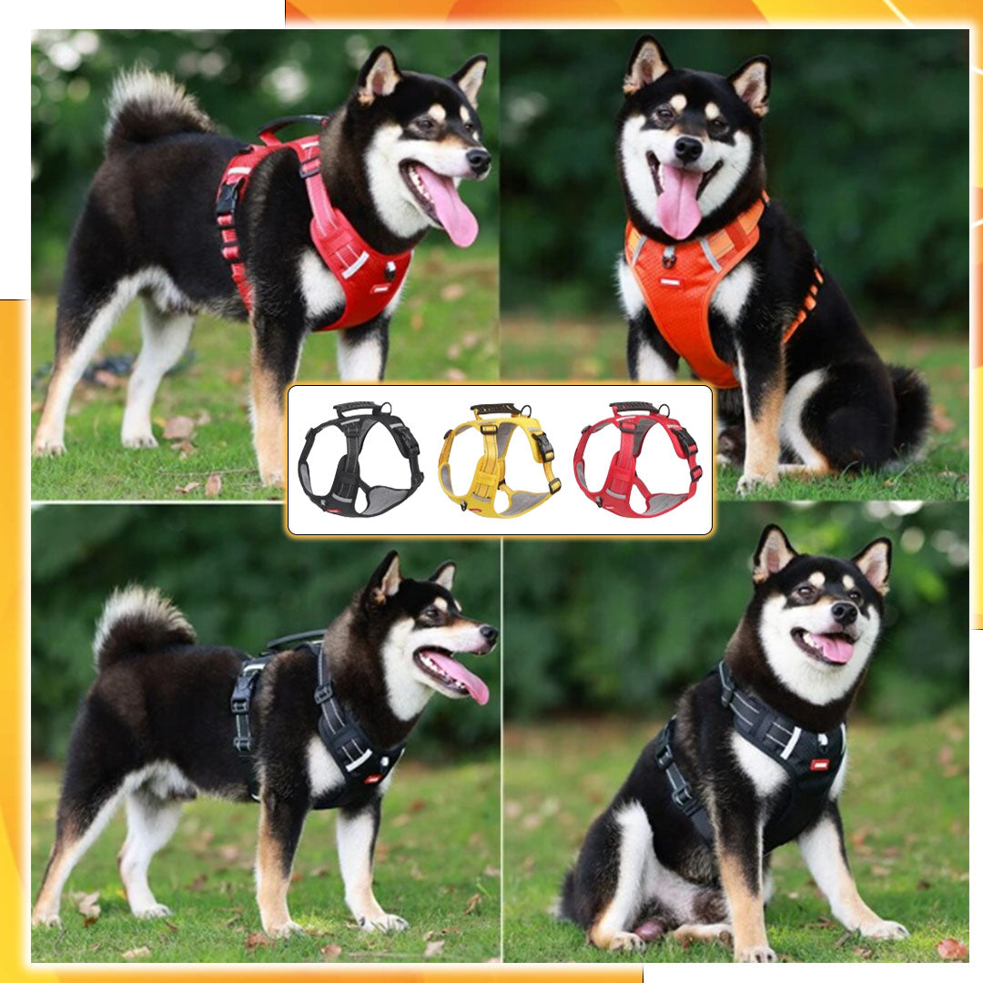 Harnais™| Harnais anti-traction